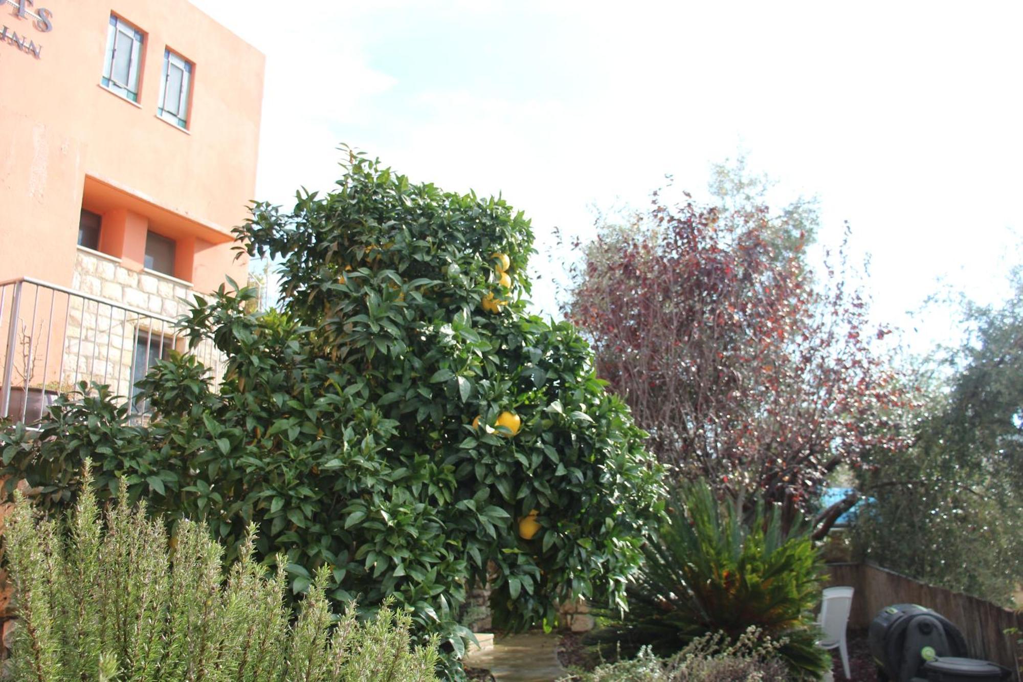 Artists' Colony Inn Zefat Exterior foto